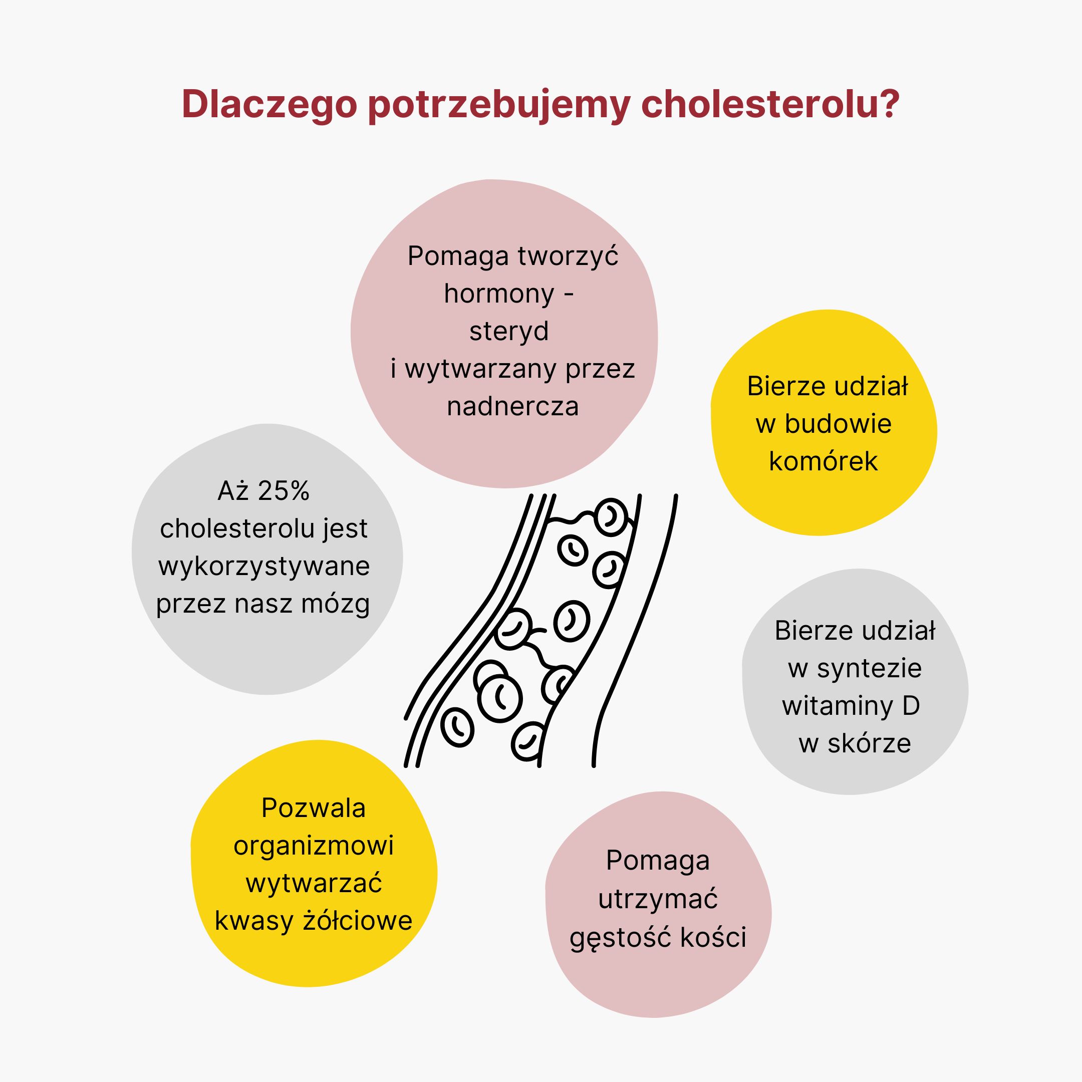 (Polština) Proč potřebujeme cholesterol